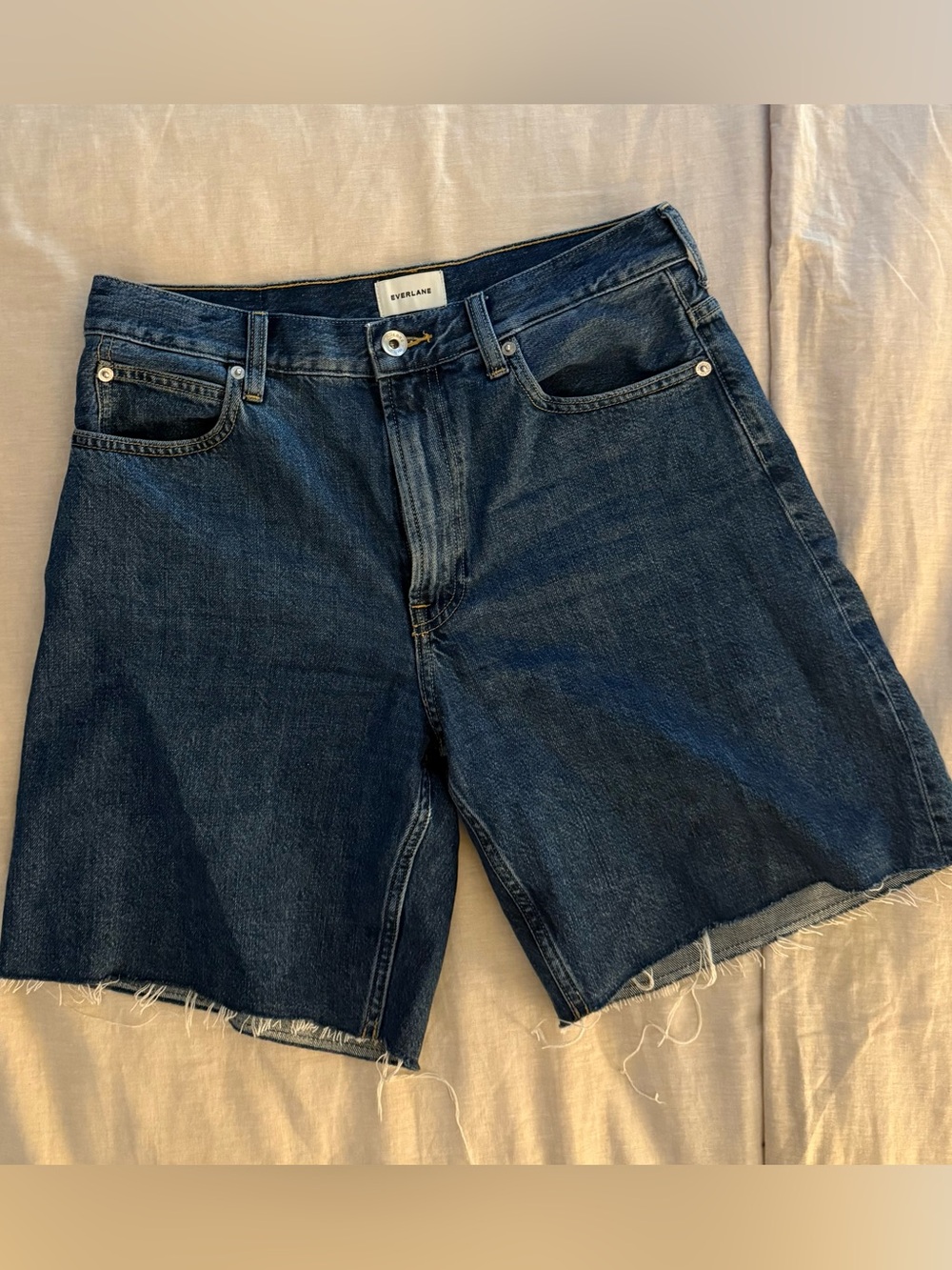 Everlane Denim Baggy Jean Shorts